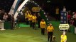 Pets As Therapy (PAT) Dog of the Year Presentation - Crufts 2013