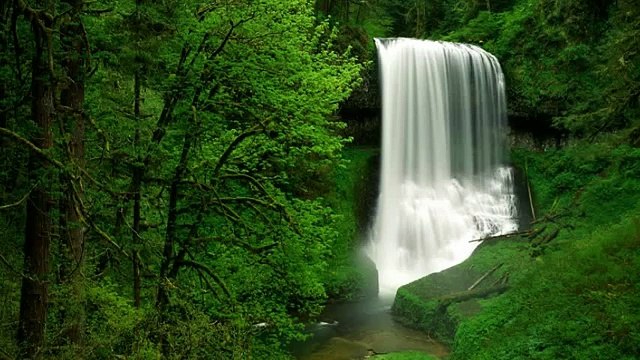 Sviatoslav Richter Chopin Andante spianato et grande polonaise brillante, Op 22