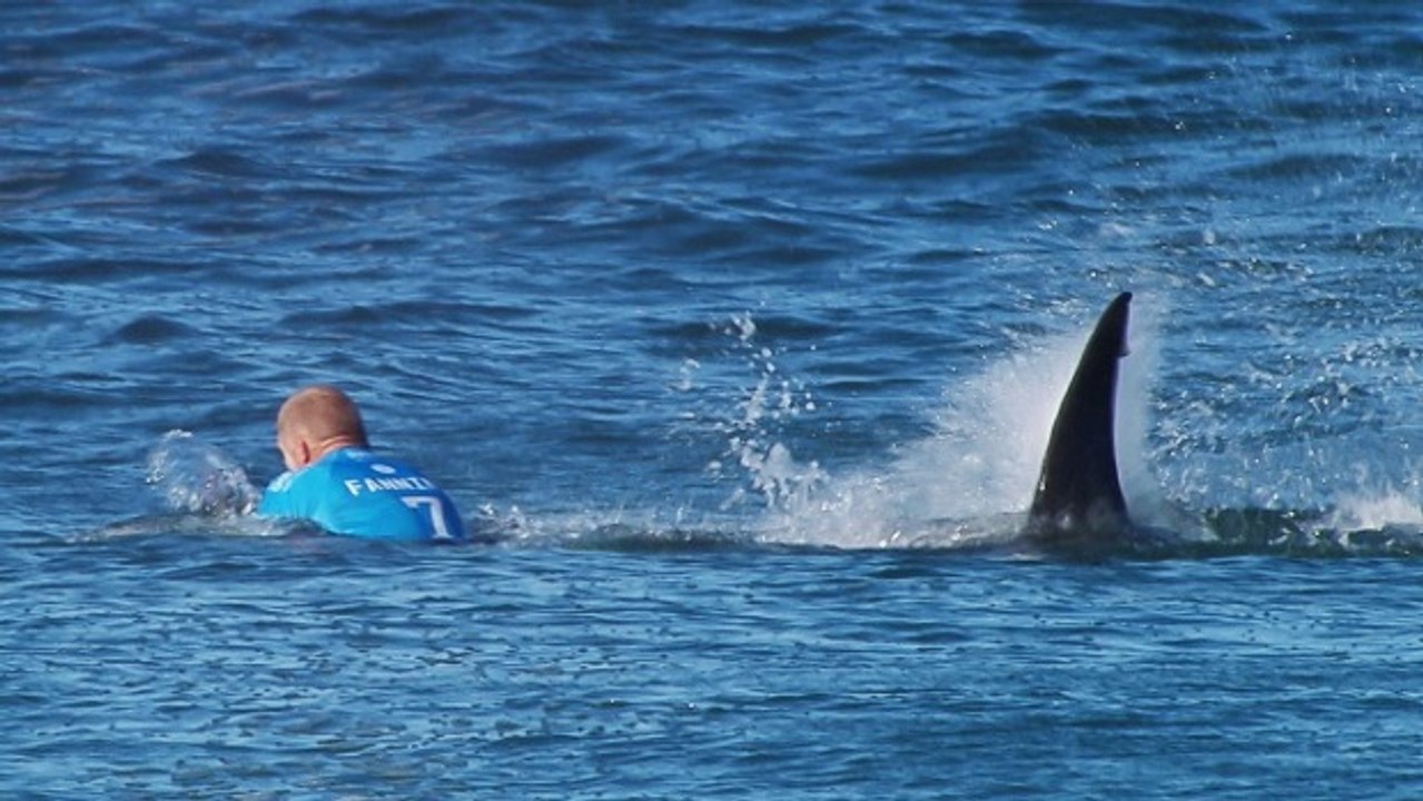 Mick Fanning ep.1: shark attack !!!!