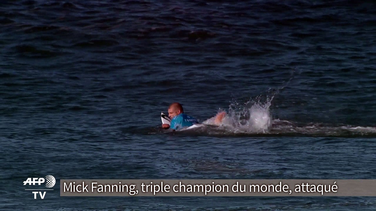 Un surfeur attaqué par un requin en pleine compétition