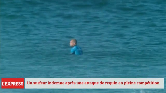 Le surfeur Mick Fanning attaqué par un requin en Afrique du Sud