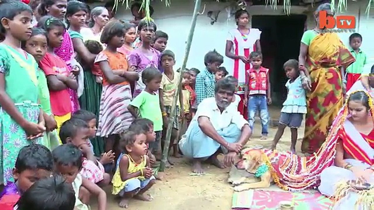 Girl Marries Dog In Traditional Ceremony In India