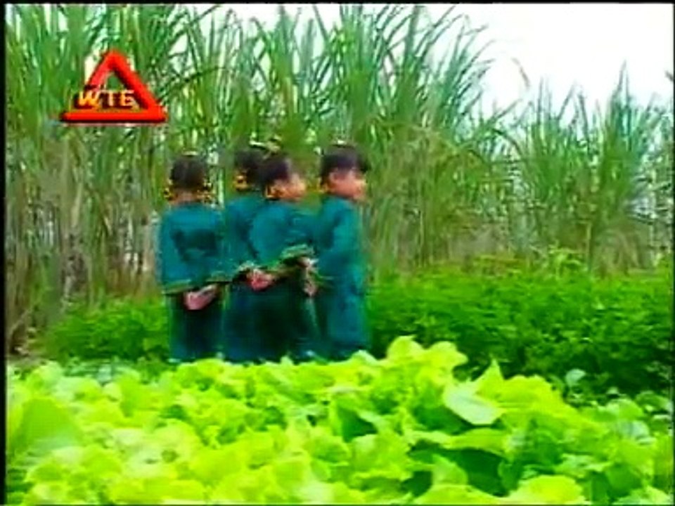 WoNG Lao XiaN SHeNG You Kuai Di,QiNG Wa Bu Ce SHui,SHaNG Xue