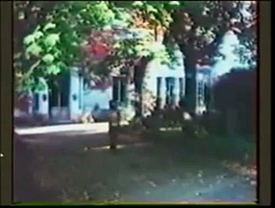 milwaukee brace exercises