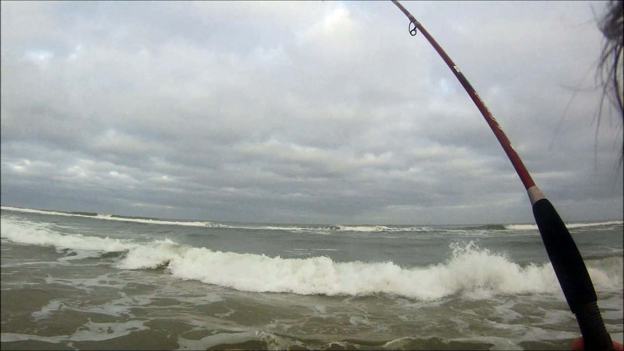 Peche du bar dans les baines - Gros bar de 65 cm du bord HD