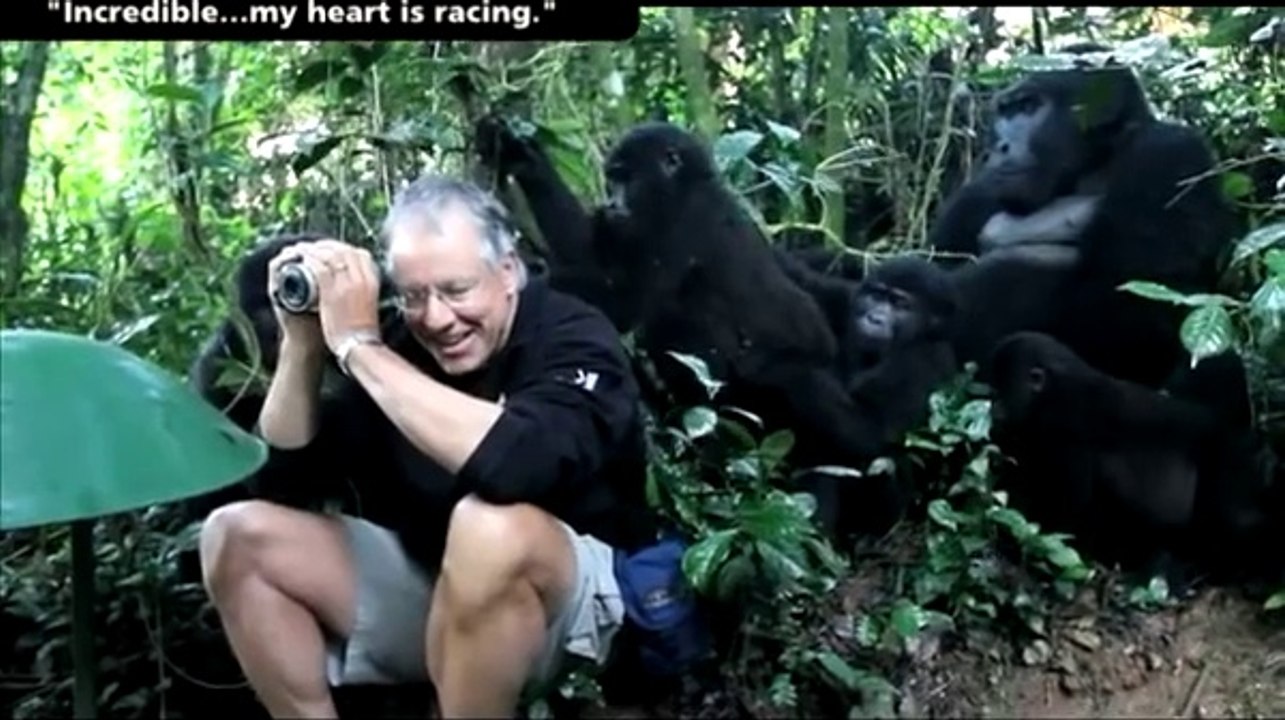 Un homme rencontre une famille de gorille en pleine foret - Magique