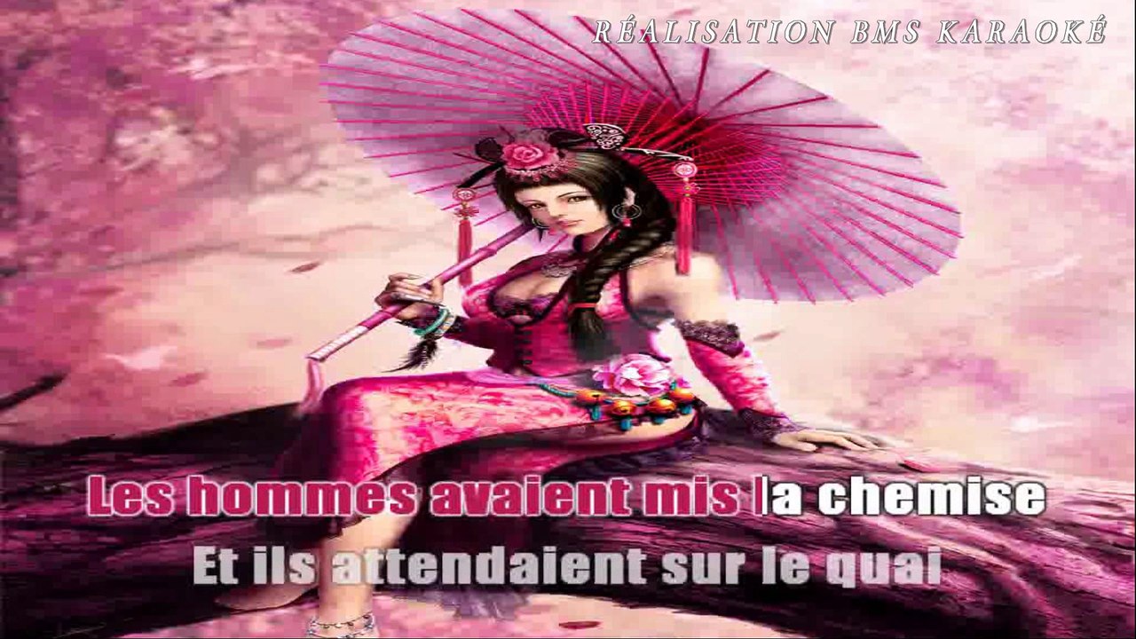 Karaoké  Michel Sardou - Valentine Day (Bercy 2011)