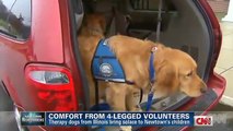 Golden Retriever comfort dogs visit grieving families after school massacre