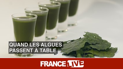 Quand les algues passent à table