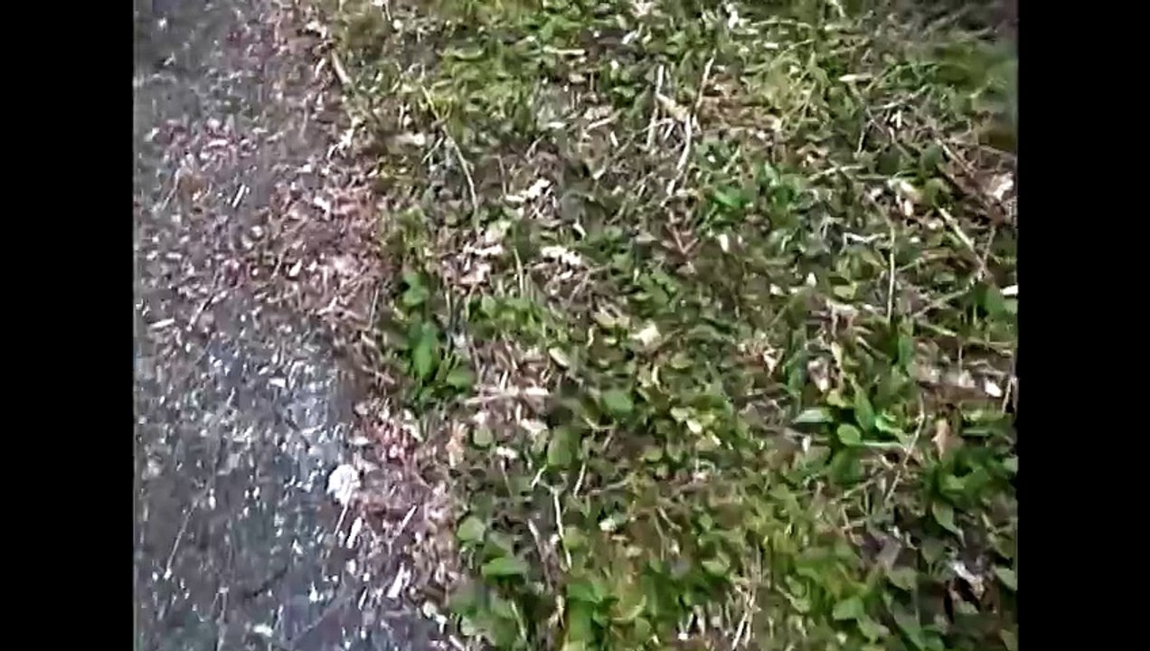 Echt oder Fake? UFO wird von Militärflugzeugen begleitet