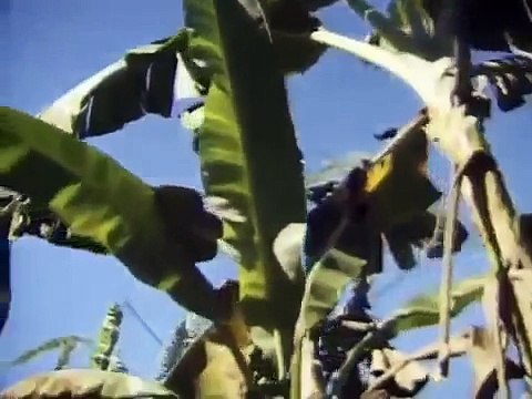 Pol Pot Doku Deutsch über Pol Pot