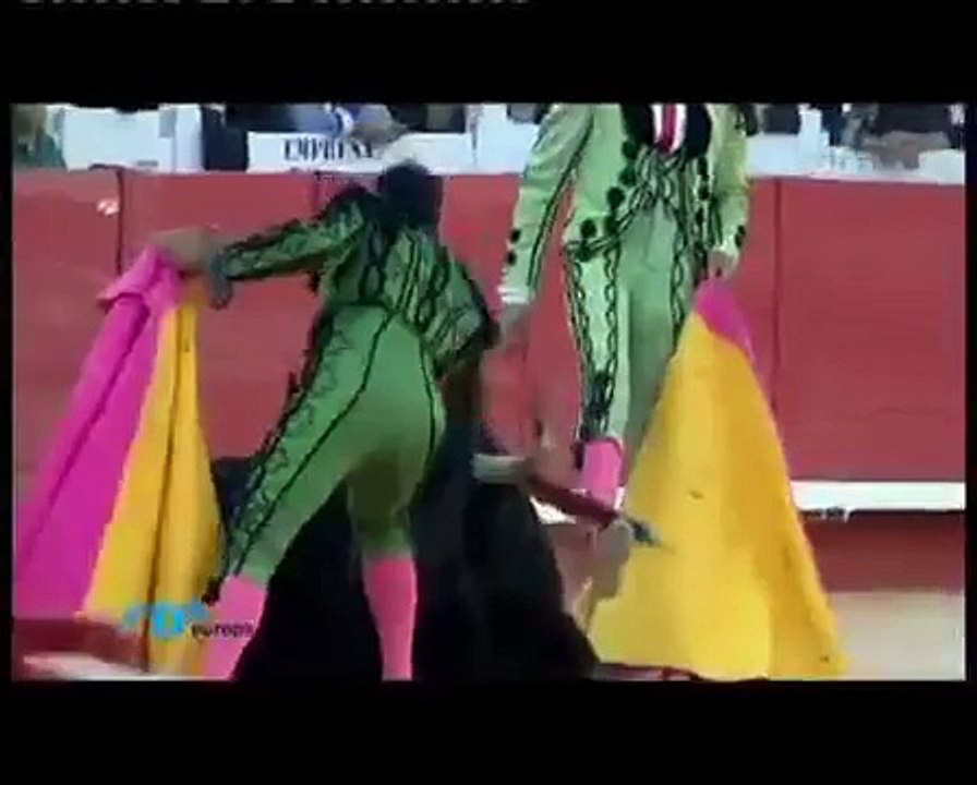 Débat sur la corrida