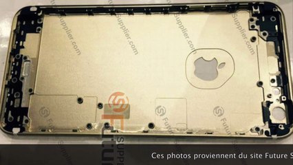 iPhone 6S Plus : des photos de la coque version or