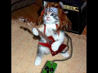 Un gato en el ventilador (Loquendo)