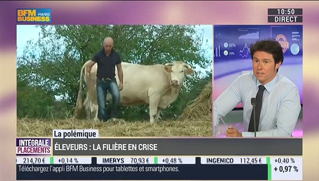 Guillaume Paul: Prix de la viande: les raisons de la grogne des éleveurs ? - 20/07