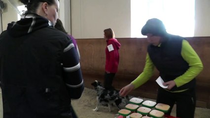 Чемпионат России 2015 г. по Обидиенс-2.