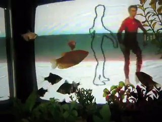 Nam June Paik - TV Garden - Merce Cunningham - skywriting aerobatics - some fish
