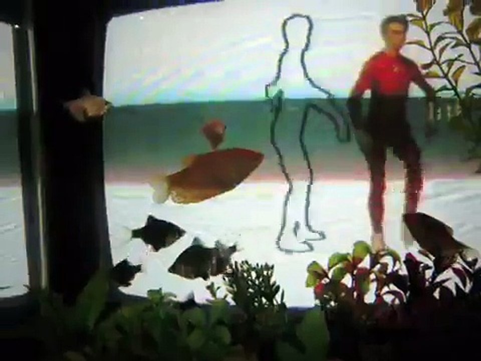 Nam June Paik - TV Garden - Merce Cunningham - skywriting aerobatics - some fish