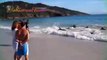 Una storia a lieto fine: Delfini spiaggiati salvati dai bagnanti