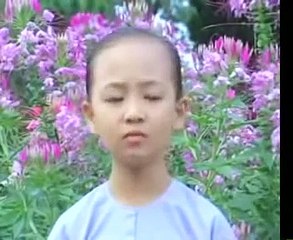 Nhu Y 3 _ PHAT GIAO HOA HAO 2