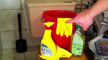 How to: richtig Klo putzen - einfach ein Klo putzen - Haushaltstipp zum Klo richtig putzen