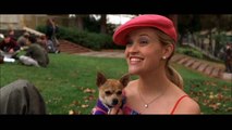 TUTORIAL: Legally Blonde: Elle Woods Inspired Makeup