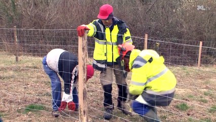 Quand le département des Landes fait rimer insertion sociale avec environnement
