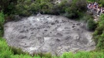 New Zealand Boiling Mud and Geyser -  Rotorua, New Zealand