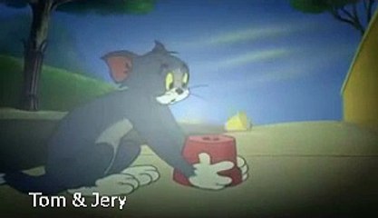 Tom and Jerry Cartoon - Cartoon Network - Animationtom jerry videos
