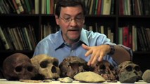 Human Origins: Evidence of Human Evolution