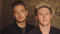 action 1D - Liam and Niall