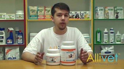 Allivet Video of VetCrafted Joint Care Max Strength Soft Chews with MSM for Dogs