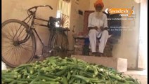 Punjab: Story Behind Railway Station turns vegetable shop | रेलवे स्टेशन बना सब्जी मंडी