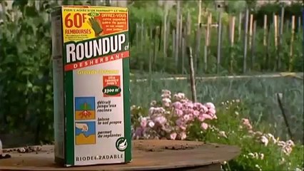 A sujeira por trás dos Transgênicos