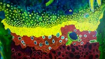 MIXED MEDIA with Jo Underhill: Oils over Inks at Art Shed Brisbane