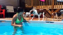 Dog Swim time shot with Samsung Galaxy S4   ebay waterproof case - $14 :)