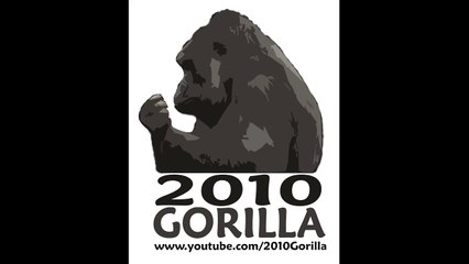 Silverback Western Lowland Gorilla Charge & Beating Chest @ Port Lympne - 2010 Gorilla