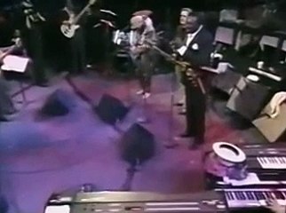 Stevie Ray Vaughan, B B King, Albert King, Paul Butterfield - The Sky Is Crying