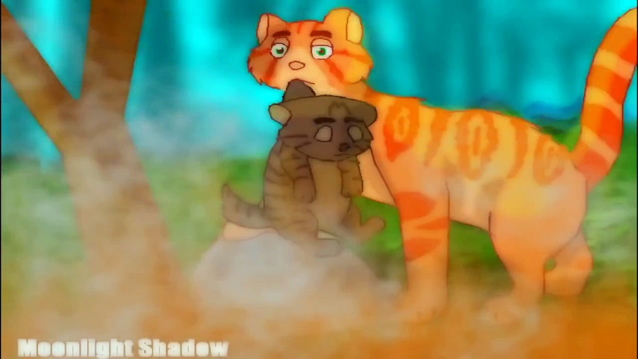 JOAN OF ARC - Complete Warrior Cats MAP