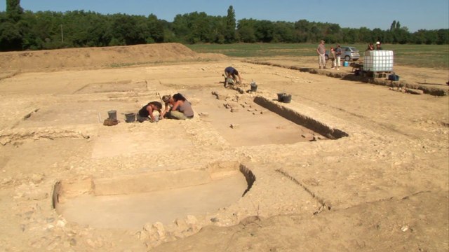 La Molère Vanesia, Saint-Jean-Poutge, 2010