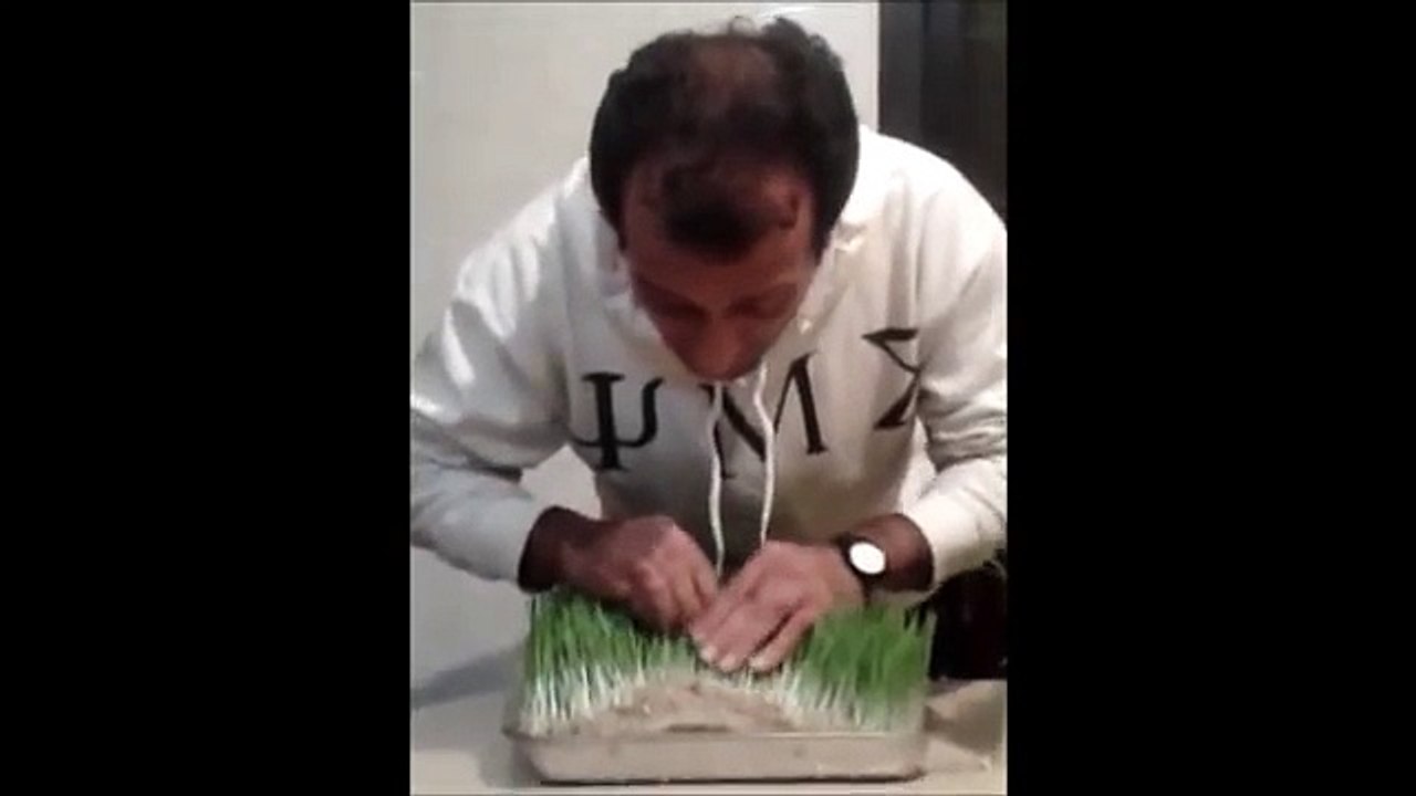 استنبات الشعير بأبسط طريقة