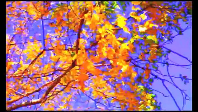 Adeus à Linguagem Trailer Oficial legendado (2015) HD