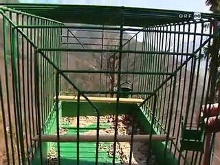 ORF Vogelfänger Salzkammergut Teil8