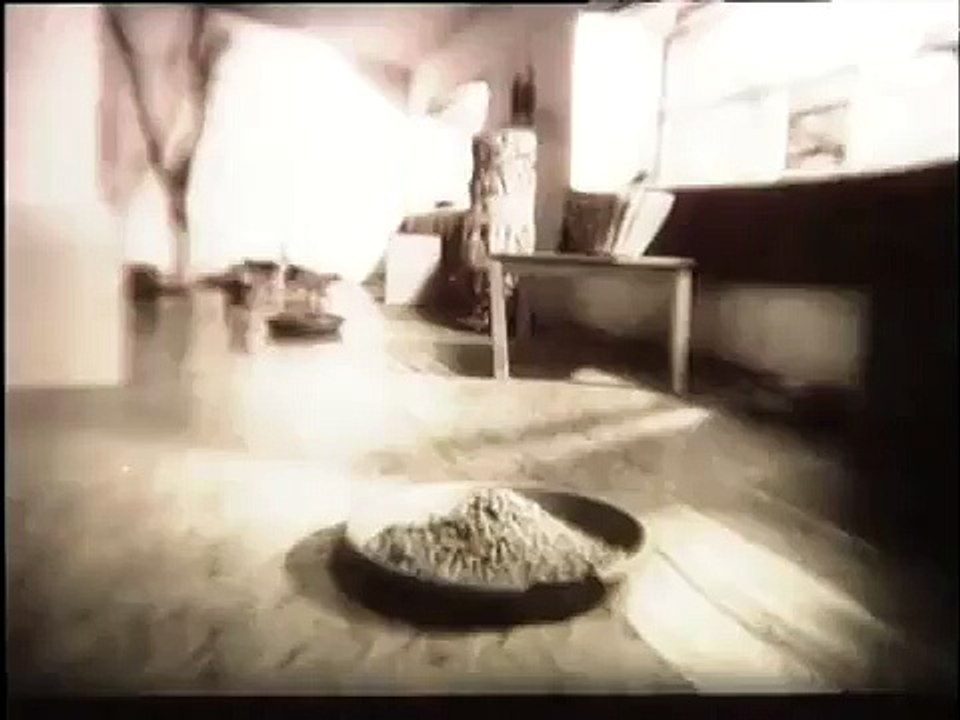 Приют для бездомных животных.