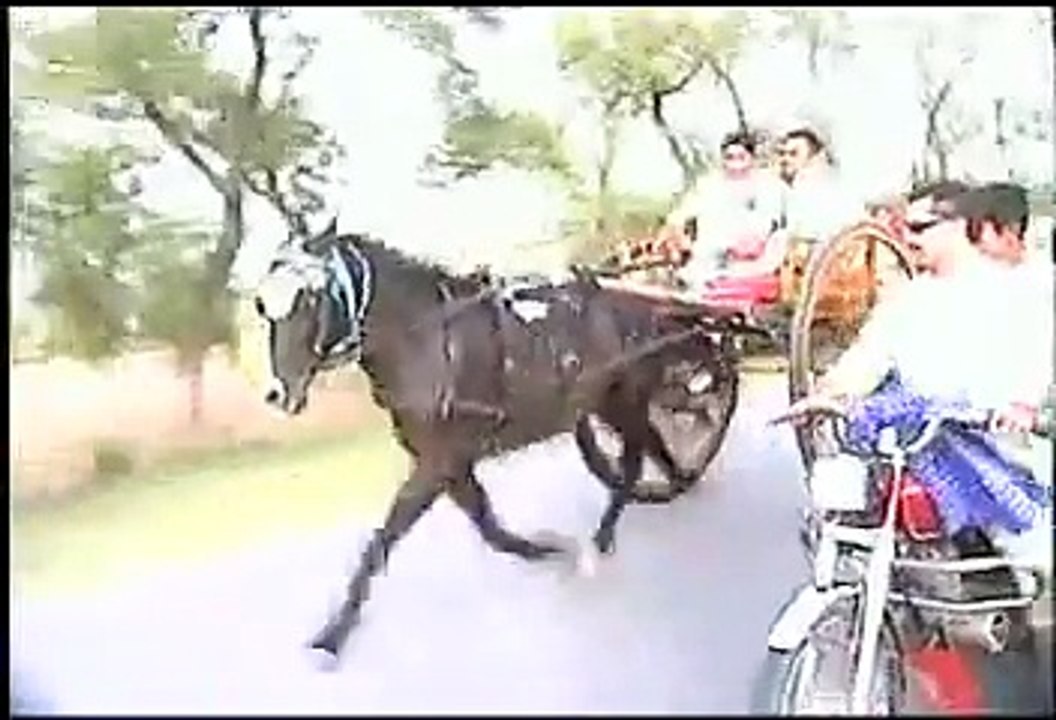 baasha ghora