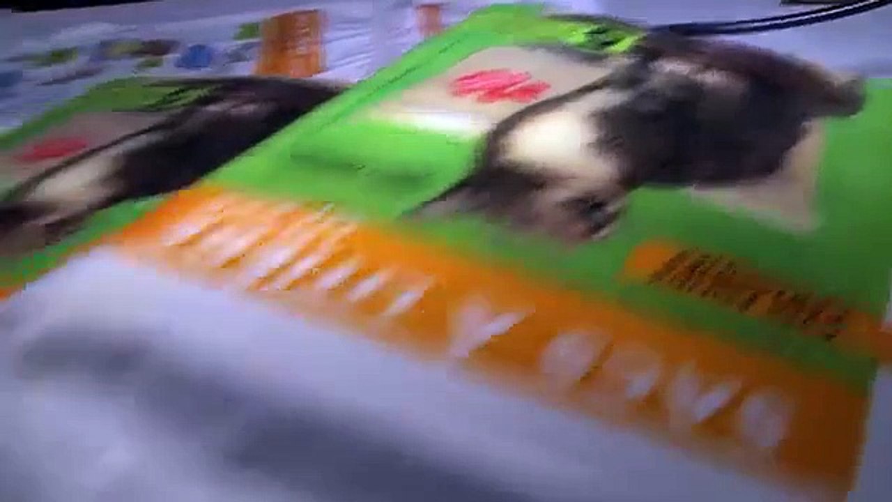 OLISAC emballage plastique et fabrication de sacs litières chat