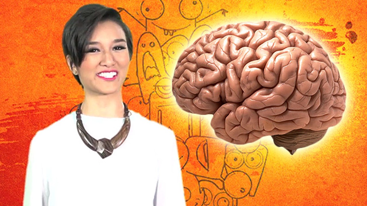 5 Mind Blowing Facts About The Brain
