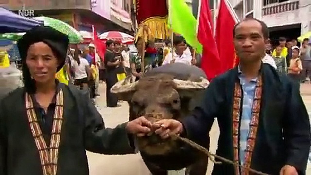 China Doku | Chinas grüne Perle | Dokumentation Deutsch
