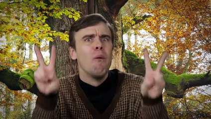 10 Thanksgiving Facts That Can t Be True