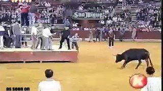 Bull Win